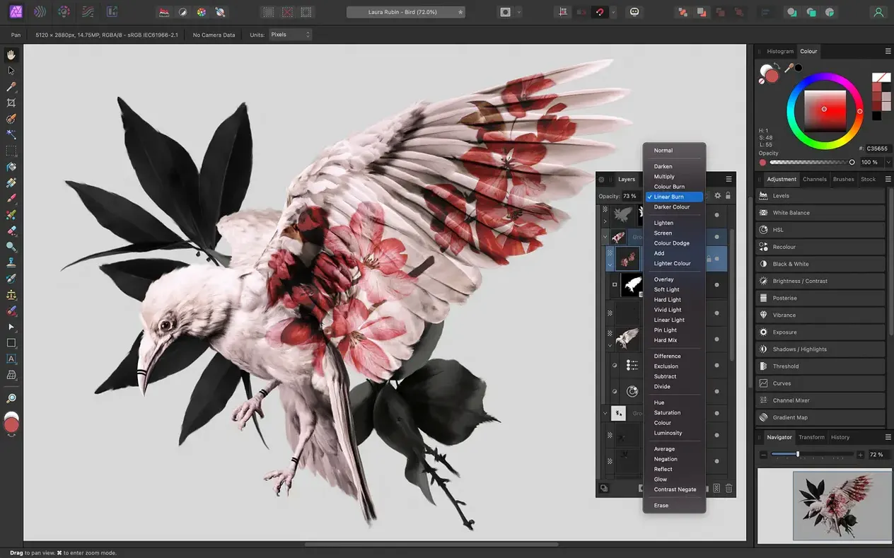 Affinity Photo — glimpse 2 Affinity Photo usage, image 2