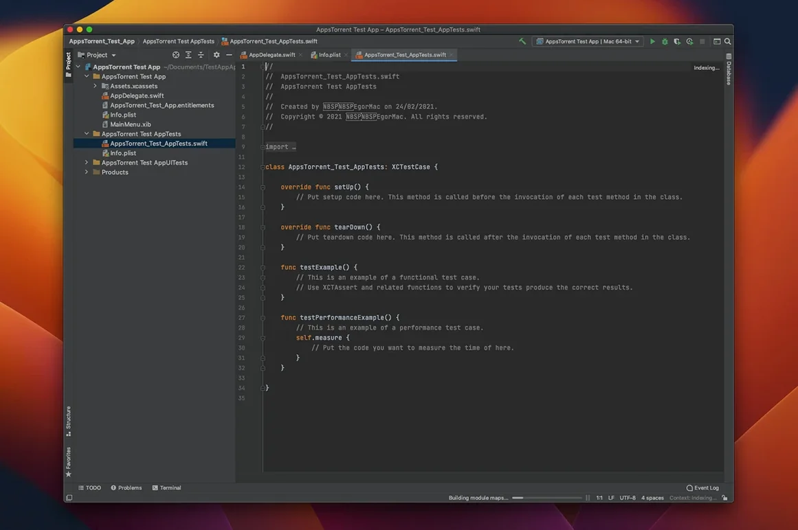 AppCode usage, image 2