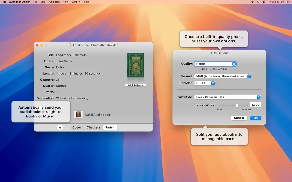 Audiobook Builder — glimpse 2 Audiobook Builder usage, image 2