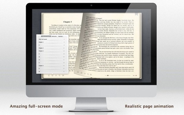 BookReader close-up 4