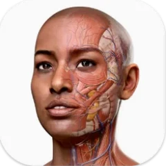 Icon for Complete Anatomy
