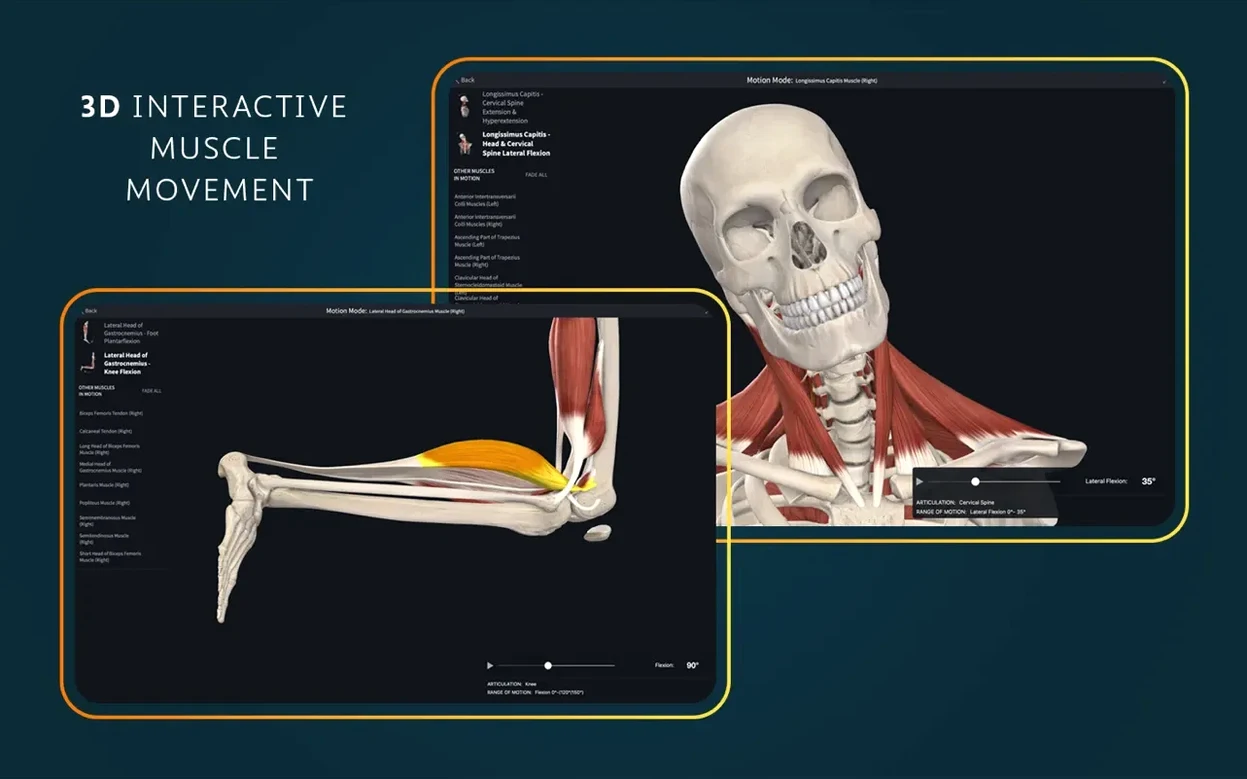 Complete Anatomy — glimpse 3 Complete Anatomy usage, image 3