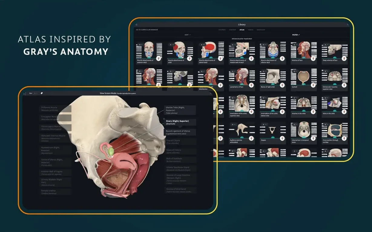 Complete Anatomy visual 5 Complete Anatomy close-up 5