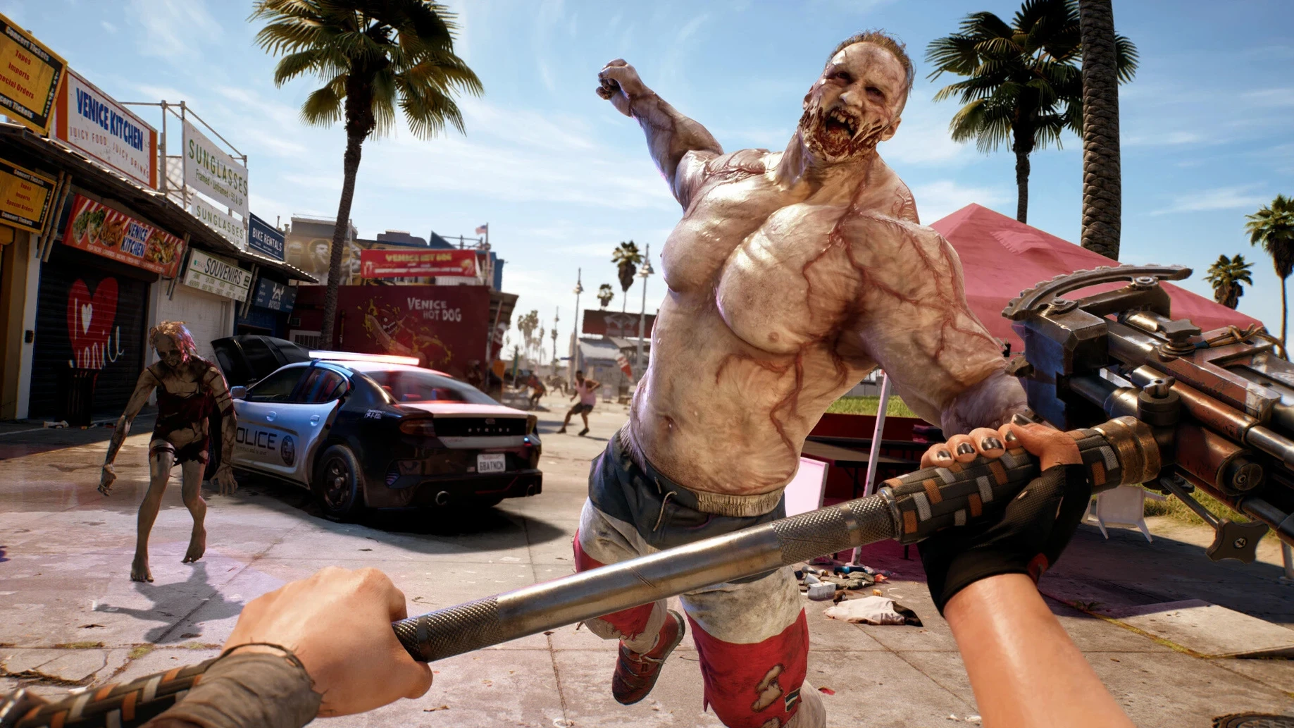Dead Island — glimpse 8 Dead Island usage, image 8
