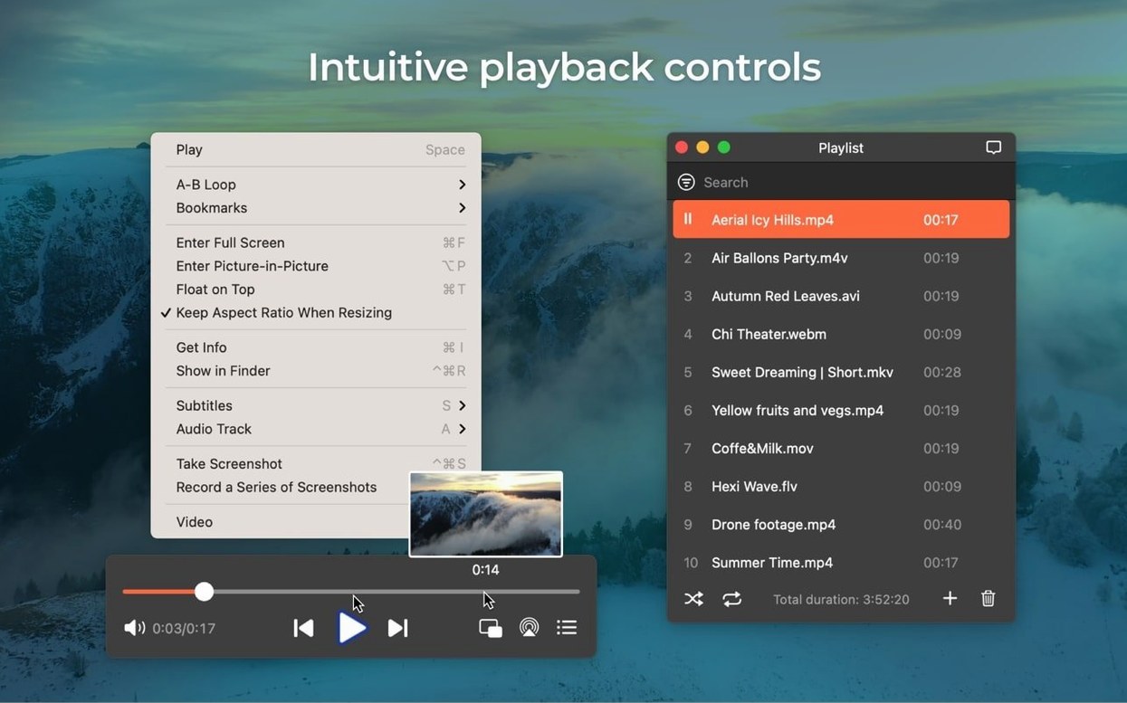 Elmedia Player Pro — glimpse 2 Elmedia Player Pro usage, image 2