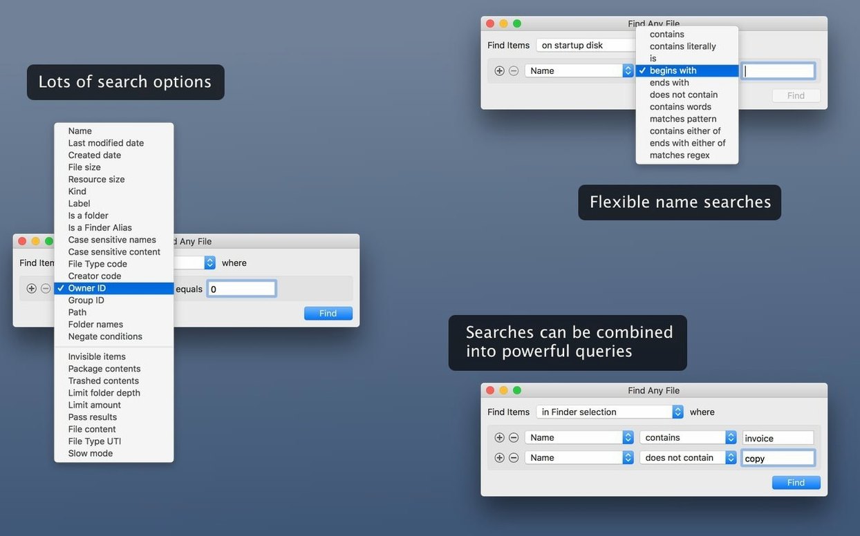 Find Any File visual 4 Find Any File close-up 4