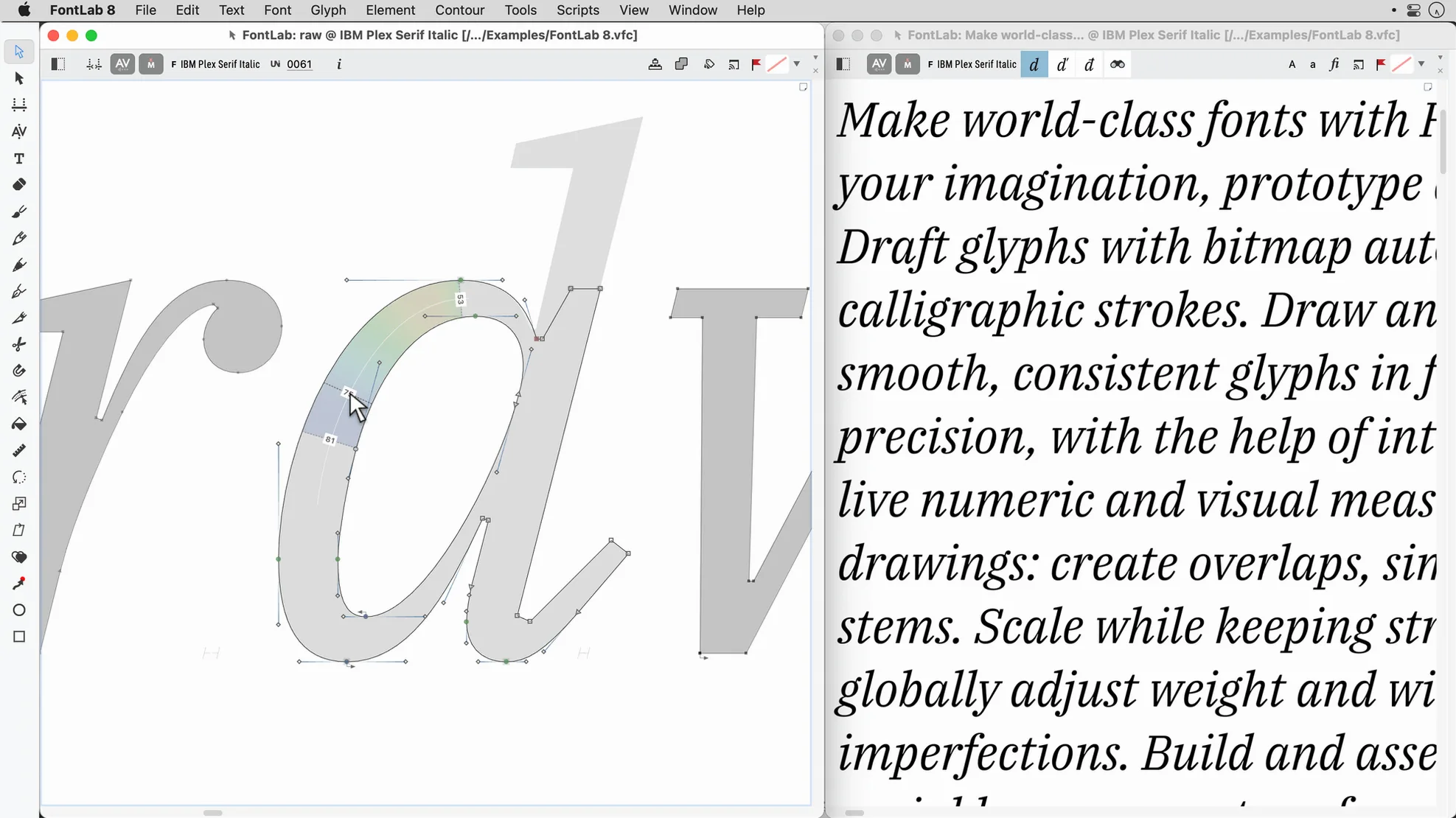 FontLab close-up 3
