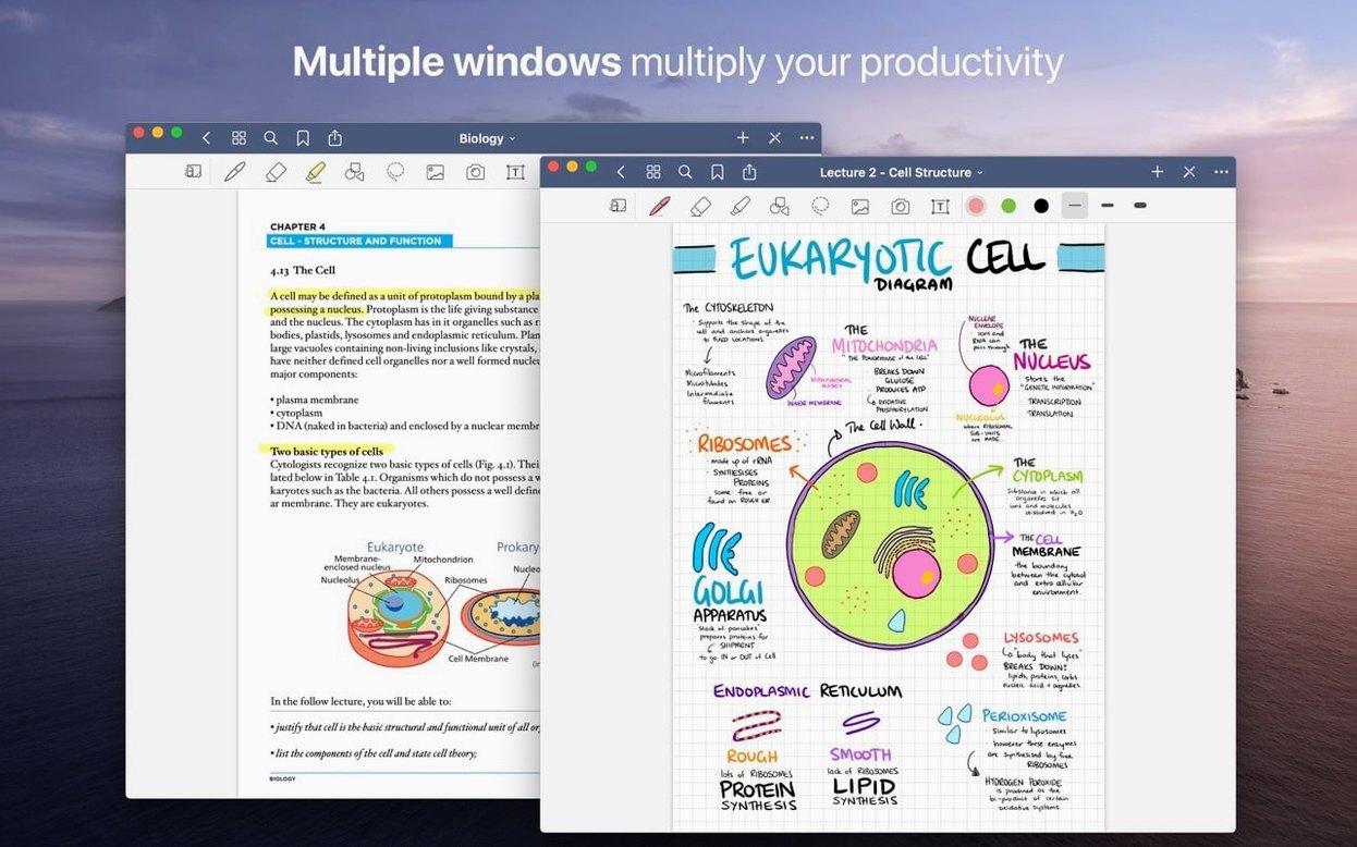 GoodNotes — glimpse 3 GoodNotes usage, image 3