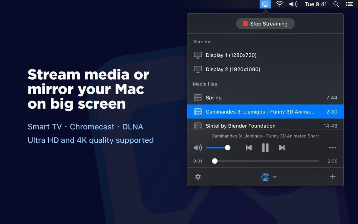 JustStream PRO usage, image 2