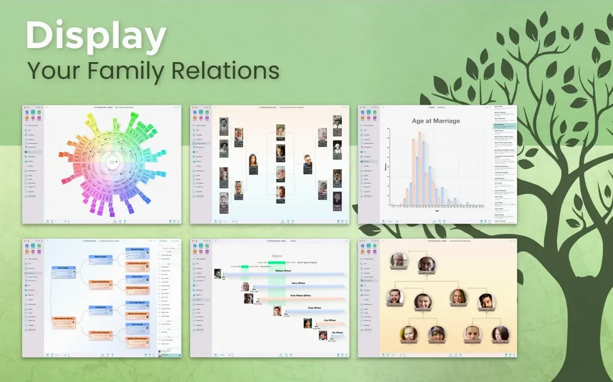 MacFamilyTree visual 3 MacFamilyTree close-up 3