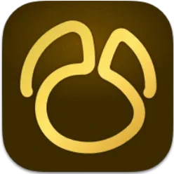 Navicat Premium icon for macOS