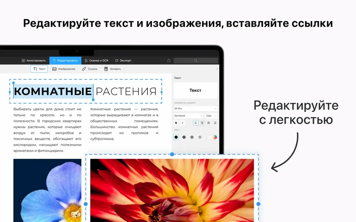 PDF Expert visual 3 PDF Expert close-up 3