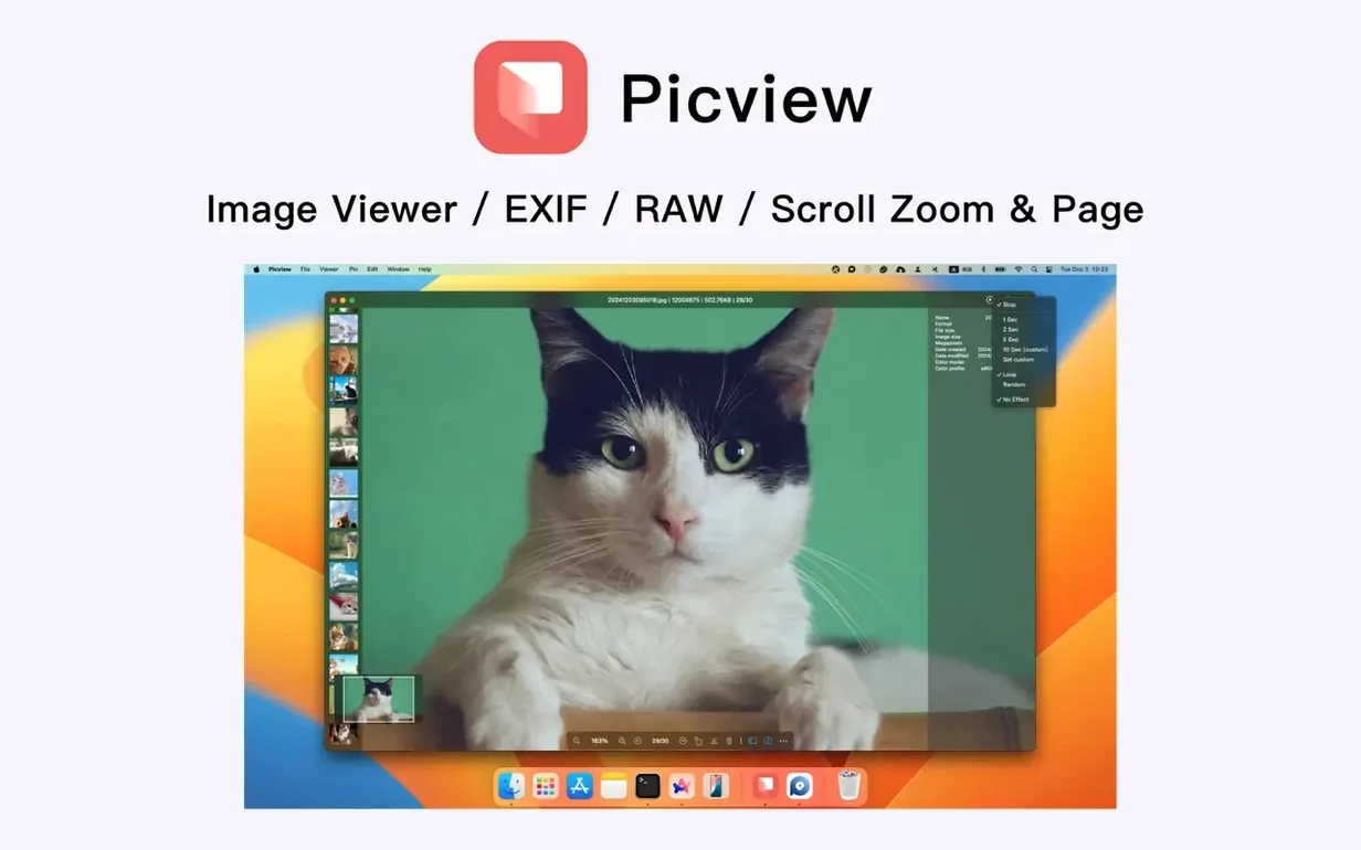 Picview - Image Viewer visual 1 picview - image viewer torrent macos — first screen