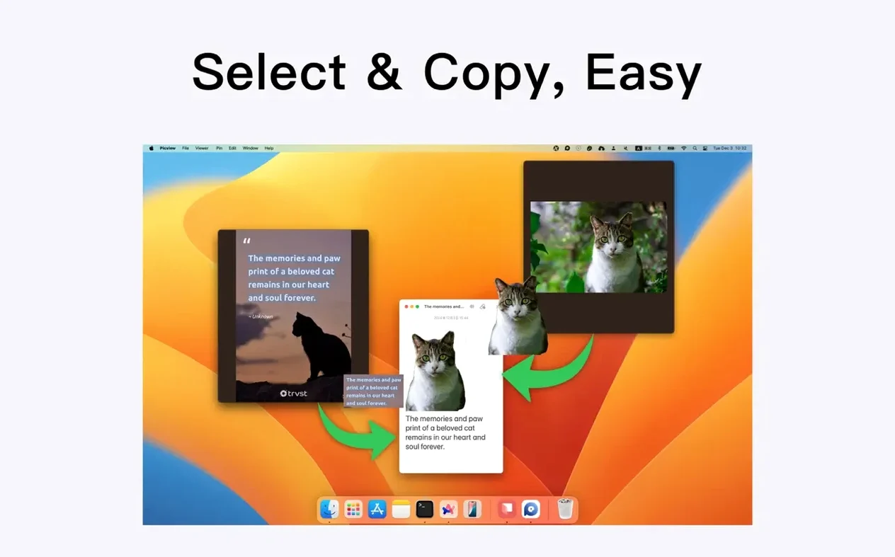 Picview - Image Viewer — glimpse 6 Picview - Image Viewer usage, image 6