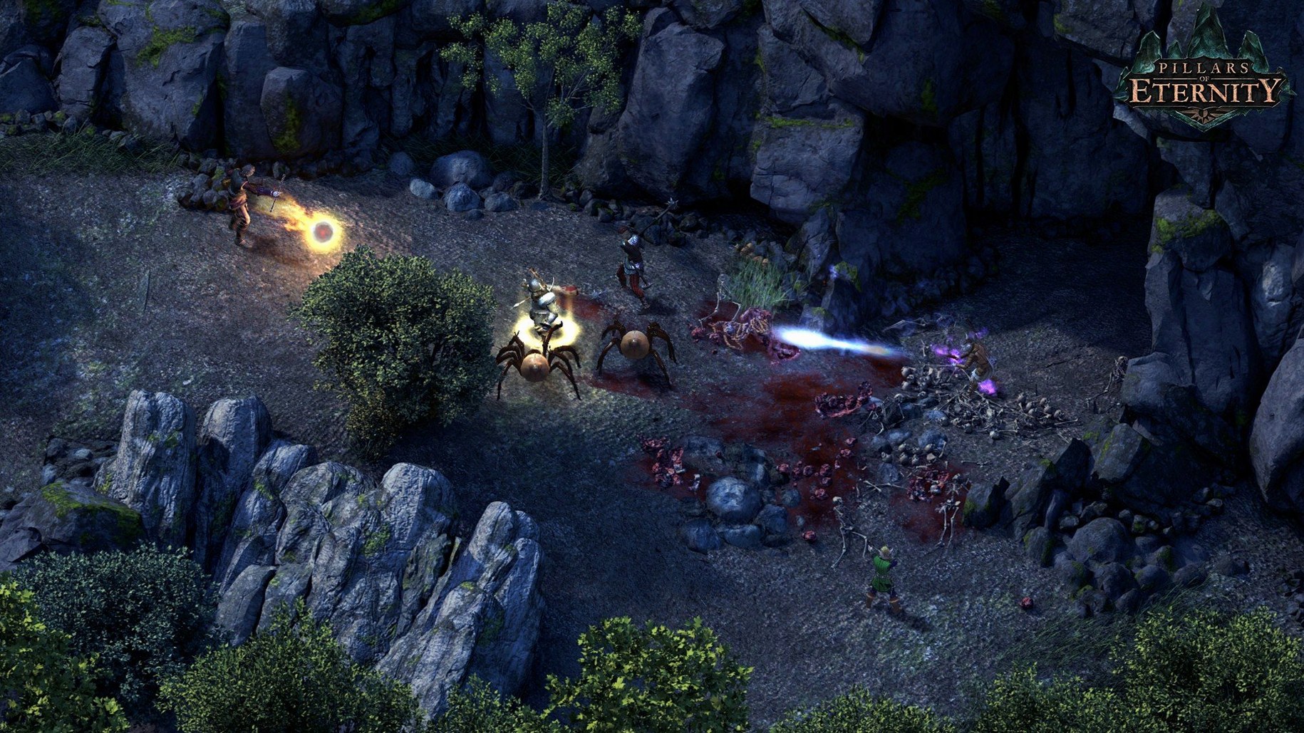 Pillars of Eternity: Definitive Edition visual 2 Pillars of Eternity: Definitive Edition close-up 2