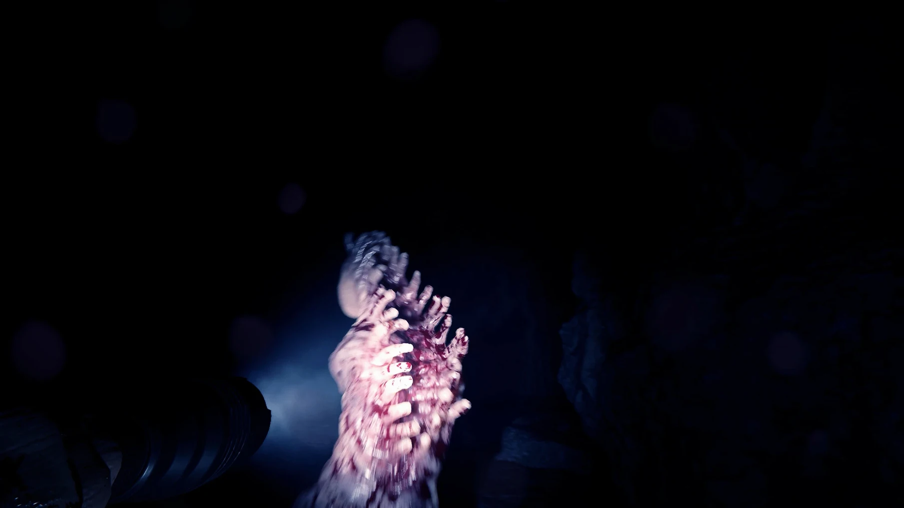 Sons Of The Forest — glimpse 3 Sons Of The Forest usage, image 3