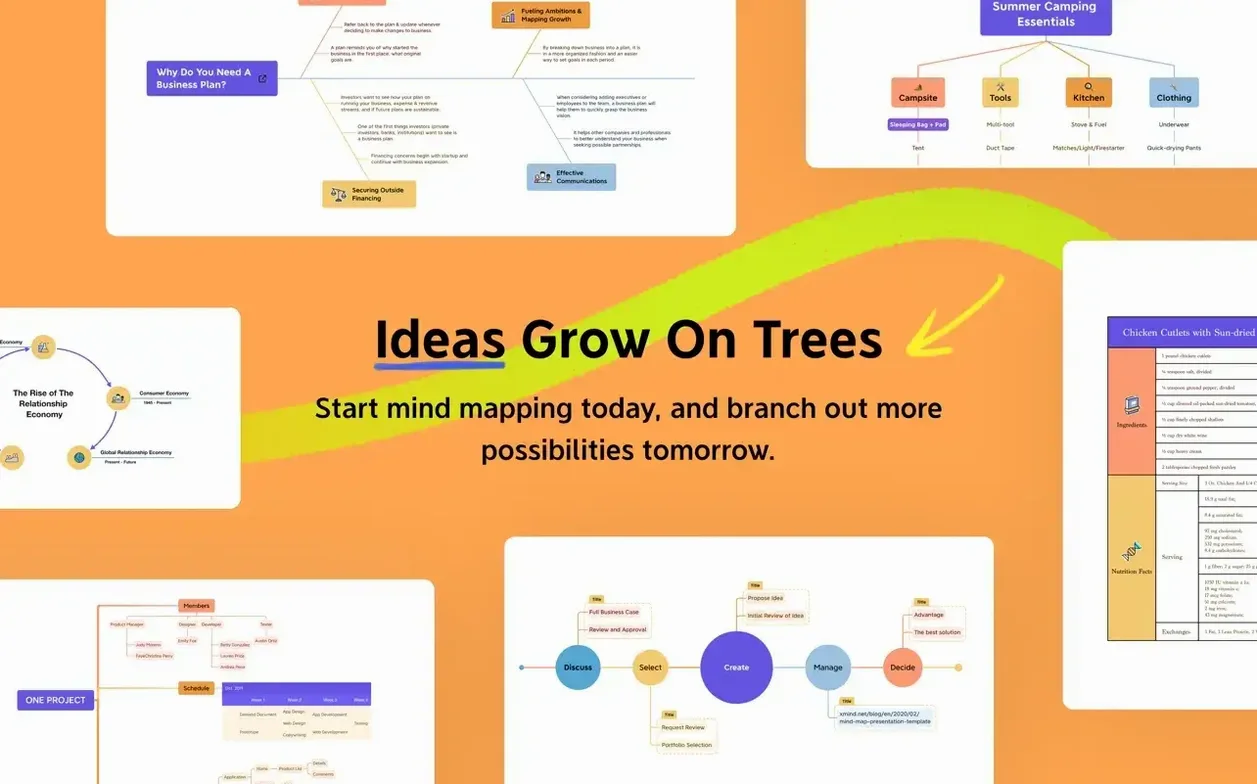 XMind Pro — glimpse 7 XMind Pro usage, image 7